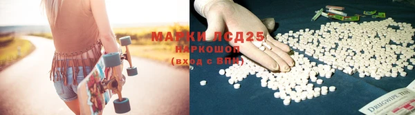 спиды Вяземский
