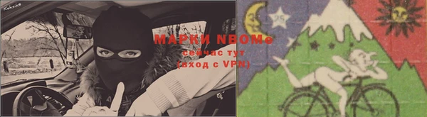 apvp Вязники