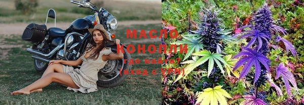 спиды Вяземский