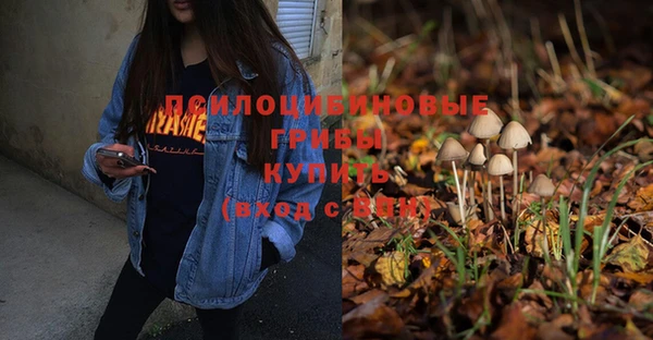 apvp Вязники