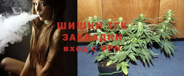 спиды Вяземский