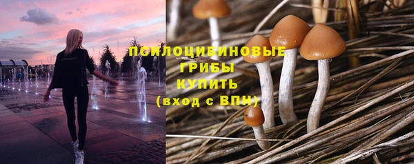 apvp Вязники