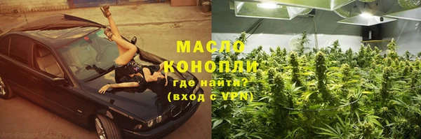 спиды Вяземский