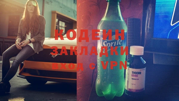 спиды Вяземский