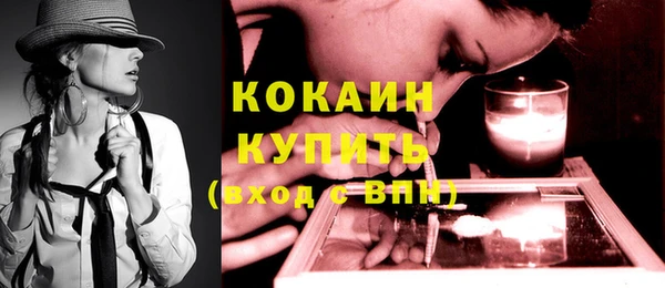 спиды Вяземский