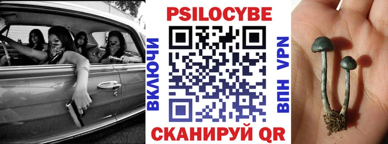 Купить где  Ивантеевка  Галлюциногенные грибы прущие грибы 